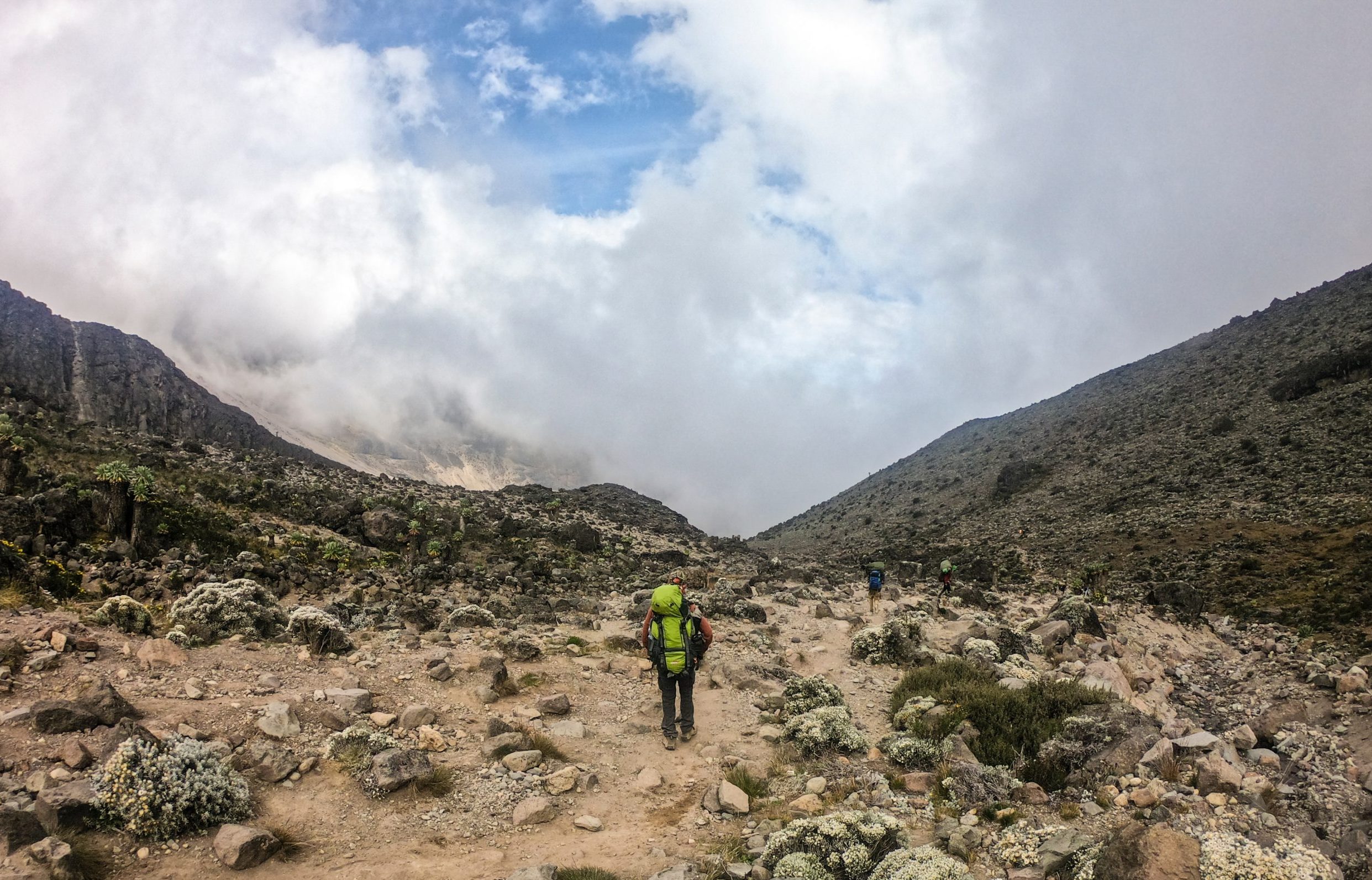 Training for a Mount Kilimanjaro trek - Maggie InkMaggie Ink